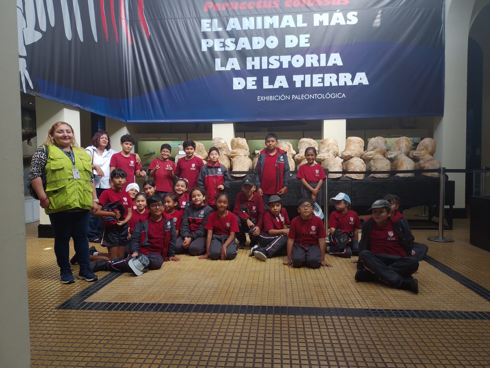 visitas_estudio_escolar_museo_historia_natural