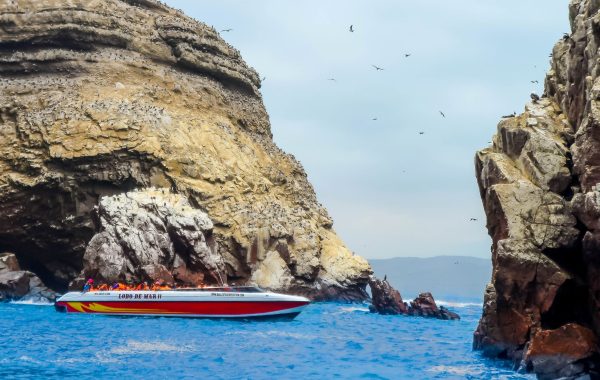 viajes_promocion_full_days_paracas_huacachina_islas_ballestas